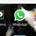 whatsapp tipps tricks anleitungen neugieriege blicke stoppen texte formatieren