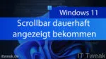 Windows 11 – Scrollbar dauerhaft einblenden / anzeigen lassen