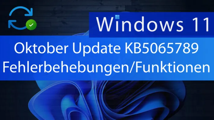 windows11 update kb5065789 Bug Fehlerbehebung
